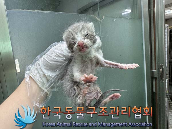 한국동물구조관리협회_411307202400420
